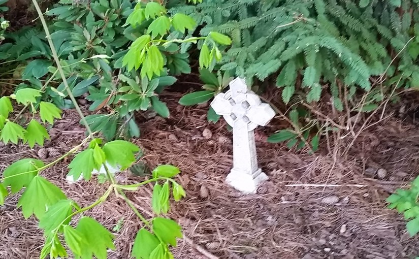 SABBATH and the&nbsp;Christian